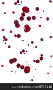 Clotted blood drops on a white background