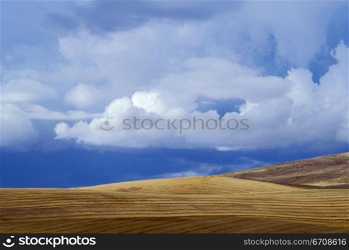 Cloud over a landscape
