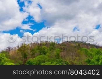 cloud over forest and mountain