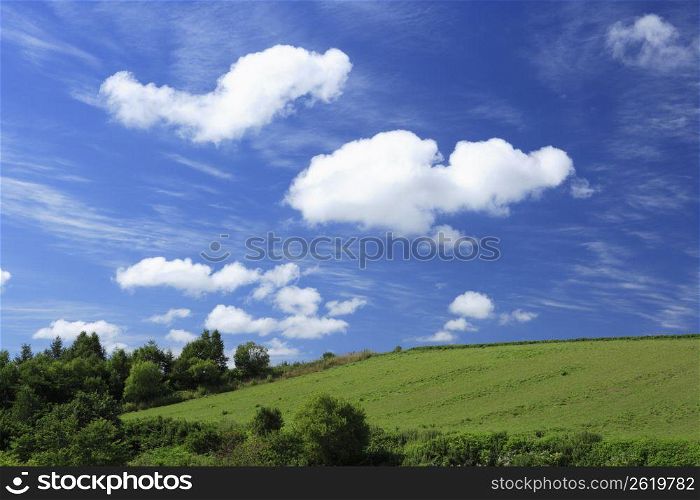clouds above a field