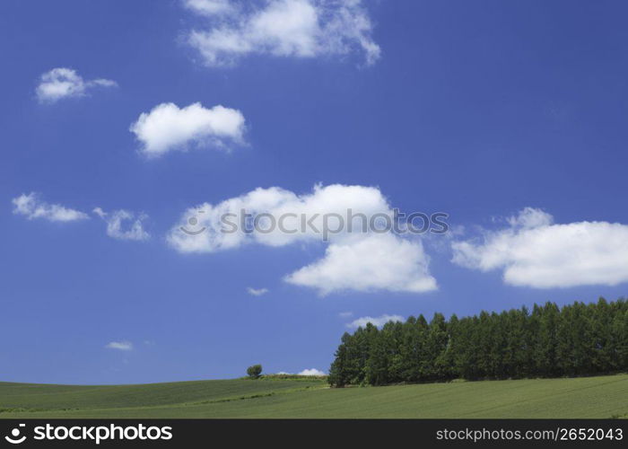 clouds above a field