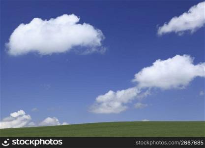 clouds above a field