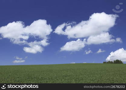 clouds above a field