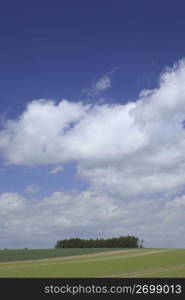 clouds above a field