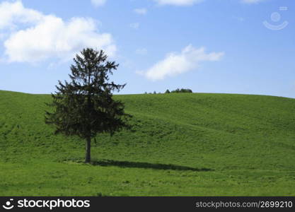 clouds above a field