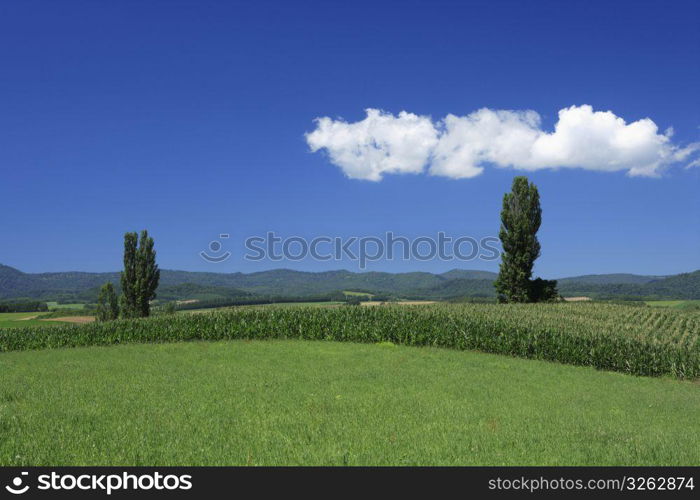 clouds above a field