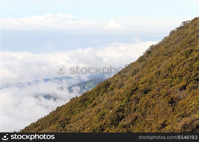 Clouds and bush on the slope of volcano Kerinci in Indonesia