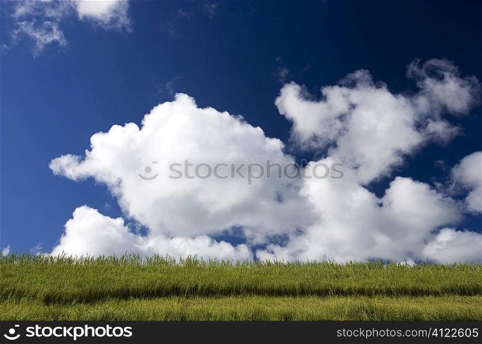 Clouds and green field