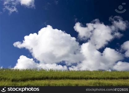 Clouds and green field