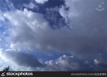 Clouds In A Blue Sky Over The Forest