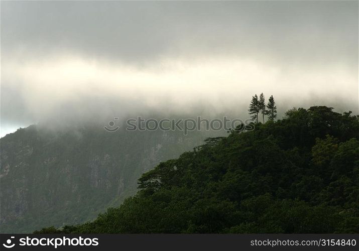 Clouds obscuring hills, Moorea, Tahiti, French Polynesia, South Pacific