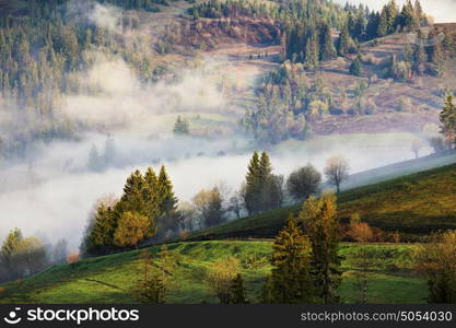 Clouds of fog on mountain hills. Misty sunny morning in the forest. Wood in fog. Green spring meadow