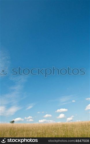 clouds on a blue summer sky. clouds