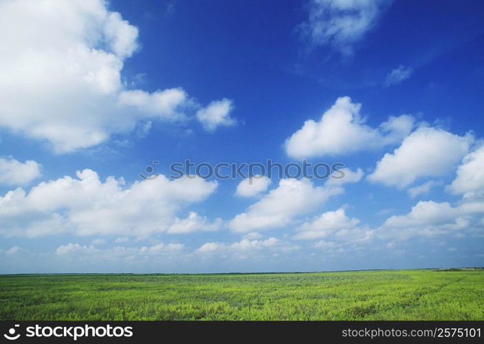 Clouds over a landscape, Texas, USA