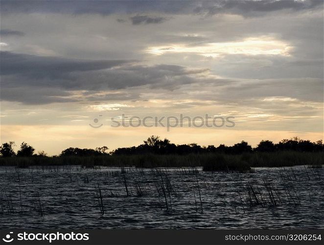 Clouds over a swamp, Okavango Delta, Botswana