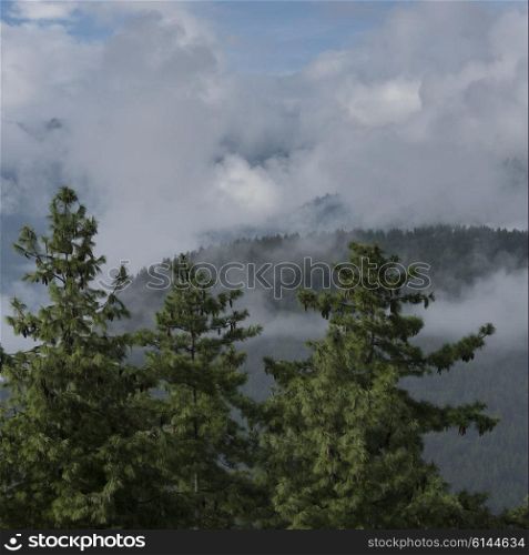 Clouds over mountain range, Paro, Paro District, Paro Valley, Bhutan