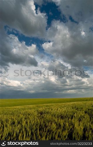 Clouds Over Rolling Green Fields