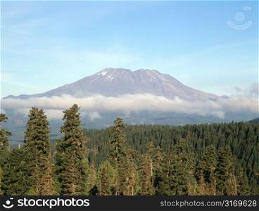 Clouds Surrounding A Mountain Peak Overlooking The Forest
