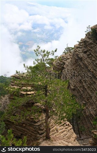 Cloudy Aj-Petri Mountain view and pine trees on slope (Crimea, Ukraine, Yalta Town in far below)