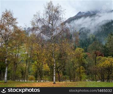 Cloudy and foggy autumn alpine mountain scene. Austrian Lienzer Dolomiten Alps. Peaceful picturesque traveling, seasonal, nature and countryside beauty concept scene.