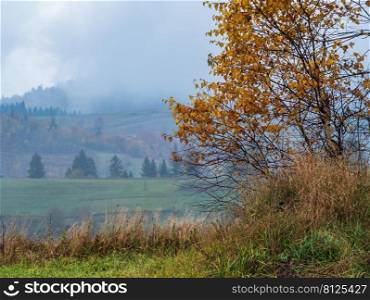 Cloudy and foggy autumn mountains scene. Peaceful picturesque traveling, seasonal, nature and countryside beauty concept scene. Carpathian Mountains, Ukraine.