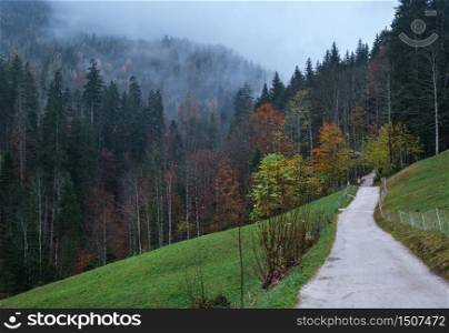 Cloudy and foggy autumn pre alps mountain countryside path view. Peaceful picturesque traveling, hiking, seasonal, nature and countryside beauty concept scene.