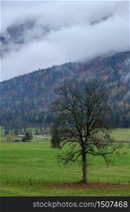 Cloudy and foggy autumn pre alps mountain countryside view, Austria. Peaceful picturesque traveling, seasonal, nature and countryside beauty concept scene.