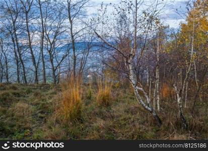 Cloudy and foggy early morning autumn meadow scene. Peaceful picturesque traveling, seasonal, nature and countryside beauty concept scene. Carpathian Mountains, Ukraine.