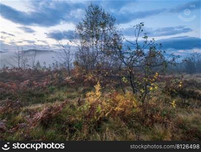 Cloudy and foggy early morning autumn meadow scene. Peaceful picturesque traveling, seasonal, nature and countryside beauty concept scene. Carpathian Mountains, Ukraine.