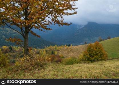 Cloudy and foggy morning autumn meadow scene. Peaceful picturesque traveling, seasonal, nature and countryside beauty concept scene. Carpathian Mountains, Ukraine.