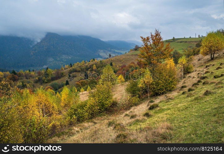 Cloudy and foggy morning autumn meadow scene. Peaceful picturesque traveling, seasonal, nature and countryside beauty concept scene. Carpathian Mountains, Ukraine.