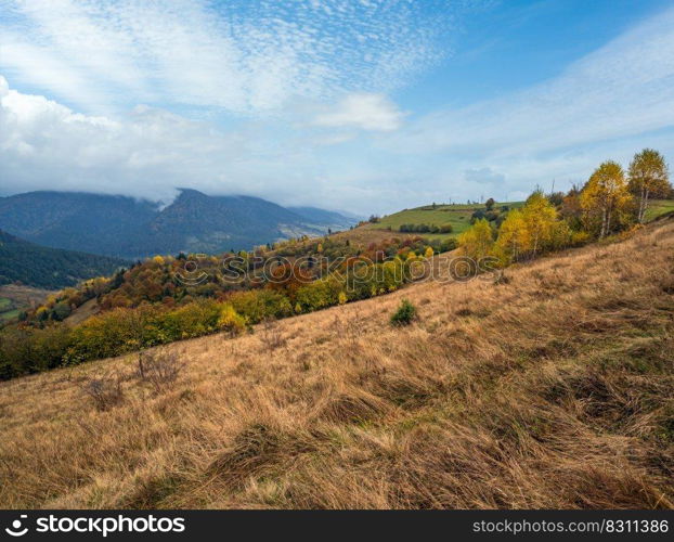 Cloudy and foggy morning autumn meadow scene. Peaceful picturesque traveling, seasonal, nature and countryside beauty concept scene. Carpathian Mountains, Ukraine.