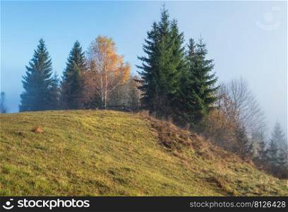 Cloudy and foggy morning late autumn mountains scene. Peaceful picturesque traveling, seasonal, nature and countryside beauty concept scene. Carpathian Mountains, Ukraine.