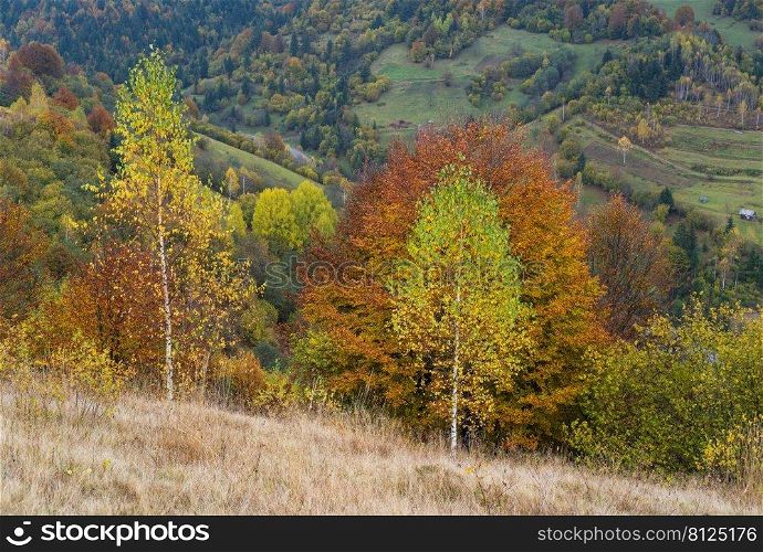 Cloudy and hazzy day autumn mountains scene. Peaceful picturesque traveling, seasonal, nature and countryside beauty concept scene. Carpathian Mountains, Ukraine.