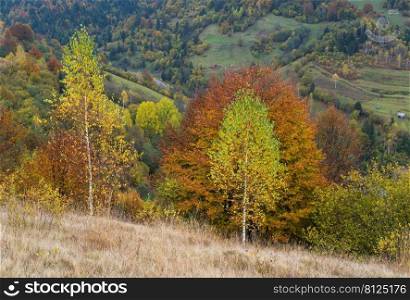 Cloudy and hazzy day autumn mountains scene. Peaceful picturesque traveling, seasonal, nature and countryside beauty concept scene. Carpathian Mountains, Ukraine.