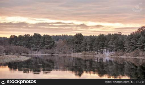 Cloudy autumn dawn. First snow on the autumn river. Fir trees on riverbank. Belarus autumn scene