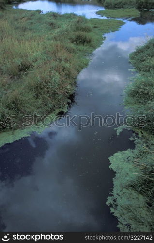 Cloudy Blue Sky Reflected In A Slough