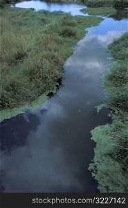 Cloudy Blue Sky Reflected In A Slough