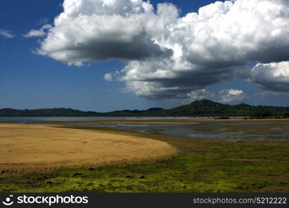cloudy isle river palm rock stone branch hill lagoon and coastline in madagascar nosy be lokobe reserve