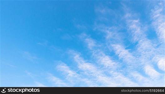 cloudy morning sky nature background. cloudy morning sky nature background.