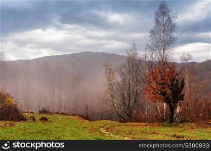 Cloudy mountain autumn landscape with colorful forest. Overcast orange and red autumn forest. Picturesque and paint colors of autumn foliage.