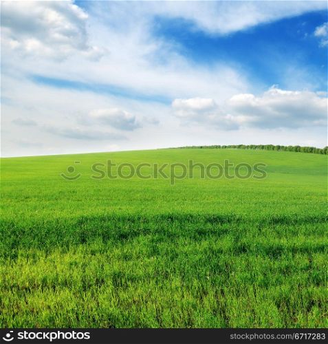 cloudy sky and green field