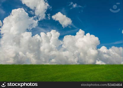 Cloudy sky and green grass in nature concept