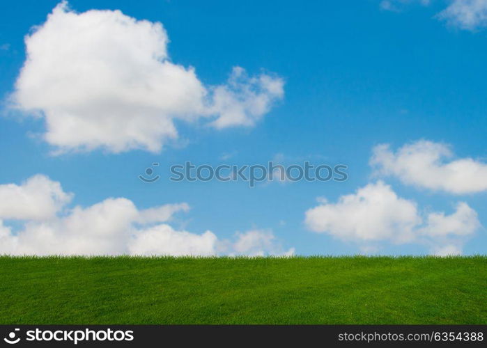 Cloudy sky and green grass in nature concept