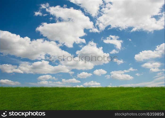 Cloudy sky and green grass in nature concept