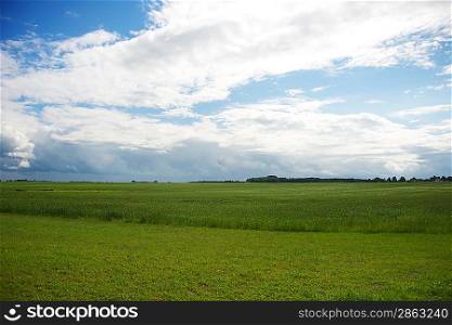 Cloudy sky over green field