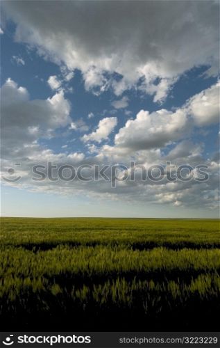 Cloudy Sky Over Green Plains