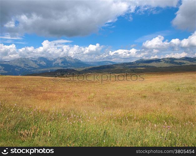 cloudy sky over mountain Durmitor and wild flowers