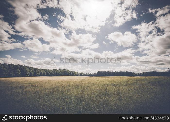 Cloudy weather over a meadow with wildflowers