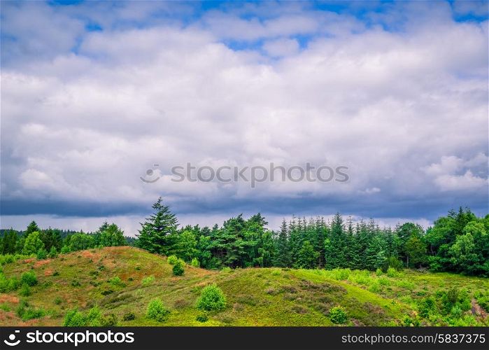 Cloudy weather over green trees in Denmark